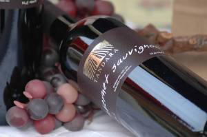 Tandara-winery-2
